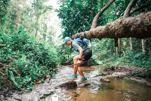 BIB: 
                            <button type="button" onclick="openModal(25376017)" class="btn btn-primary btn-sm float-right btn-popup" data-toggle="modal" data-target=".modal-high-quality">
                        <i class="fas fa-shopping-cart"></i> Add to Cart
                    </button>
                                            <button type="button" onclick="isThisMe(25376017, true)" class="btn btn-success btn-sm float-right btn-popup btn-isme hidden" data-toggle="tooltip" data-placement="bottom" title="นี่คือรูปของคุณใช่ไหม คลิกที่นี่เพื่อเอาเข้าอัลบั้ม">
                        <i class="fas fa-plus"></i> Add to album
                    </button>
                    <button type="button" onclick="isThisMe(25376017, false)" class="btn btn-warning btn-sm float-right btn-popup btn-isnotme hidden">
                        <i class="fas fa-ban"></i> Remove from album
                    </button>